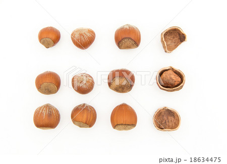 殻付きヘーゼルナッツ 18634475