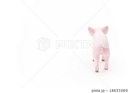 ブタのおもちゃの写真素材 [18635069] - PIXTA