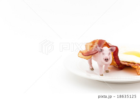 ブタのおもちゃとベーコンエッグ ブタのおもちゃとベーコンエッグ 18635125