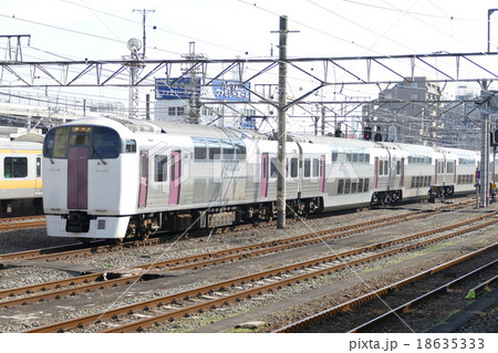 ホリデー快速ビューやまなし 215系 八王子駅 ホリデー快速ビューやまなし 215系 八王子駅 18635333