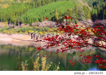 紅葉の日向神ダム 18638105