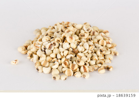 Coixseed, also known as Job's tears on white bacground 18639159