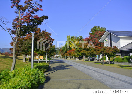 松が岬公園 松が岬公園 18641475