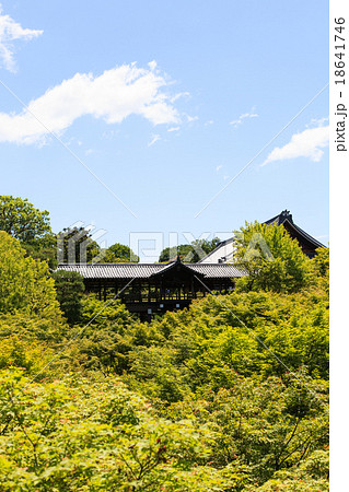 新緑の東福寺 18641746