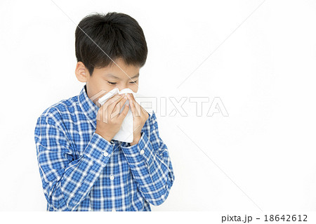 鼻をかむ男の子 顔アップ ティッシュ 小学生 中学生 くしゃみをする男の子の写真素材