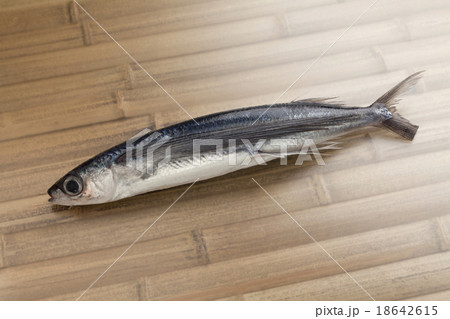 トビウオ 18642615