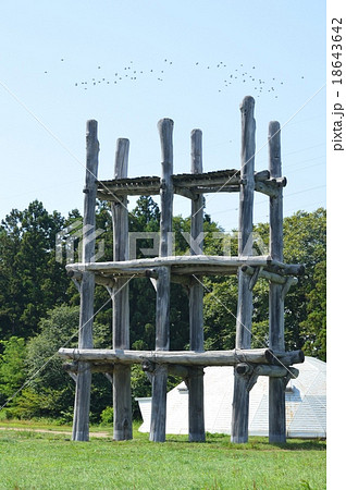 大型掘立柱建物（三内丸山遺跡／青森県青森市大字三内字丸山） 18643642