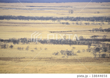 秋の釧路湿原 秋の釧路湿原 18644658