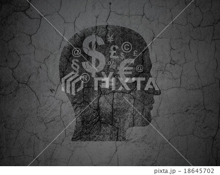 Advertising concept: Head With Finance Symbol on 18645702