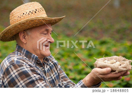 Cheerful old male worker with organic product 18648805