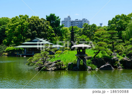 東京　春の清澄庭園 18650088