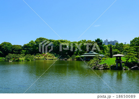 東京　春の清澄庭園 18650089
