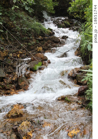 チャツボミゴケ公園の川 チャツボミゴケ公園の川 18651744