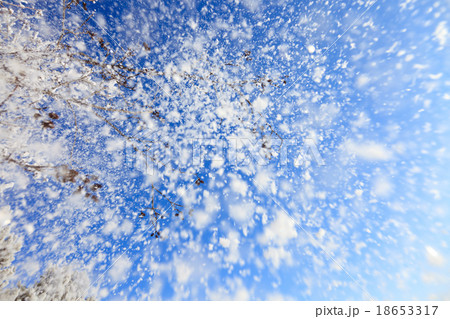 Snowfall Snowfall 18653317