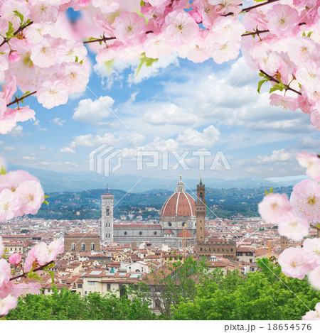 cathedral  Santa Maria del Fiore, Florence, Italy 18654576