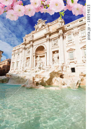Fountain di Trevi in Rome, Italy 18654615