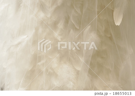 羽根の背景素材・白いオーガンジーと白い羽根・横位置 18655013