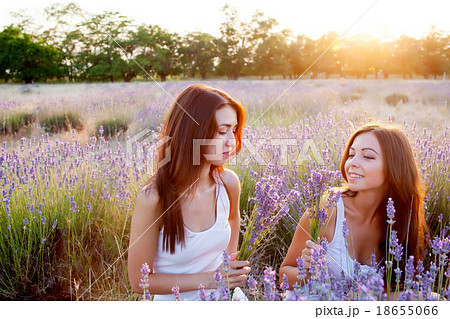 Two beautiful woman on lavender field 18655066