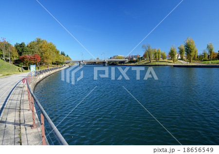 秋の日差しに輝く富岩運河環水公園 18656549