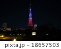 フランス追悼トリコロール　東京タワー 18657503