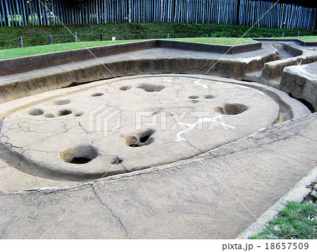 大塚・歳勝土遺跡公園 大塚・歳勝土遺跡公園 18657509