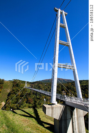 九重夢大吊橋 九重夢大吊橋 18658112