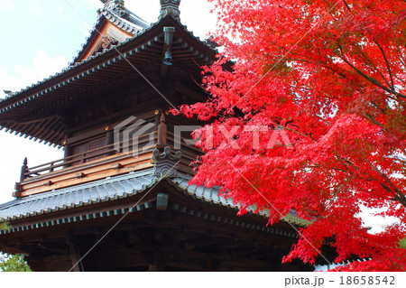 漢陽寺　紅葉 18658542