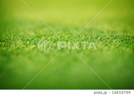 nature grass background nature grass background 18658799