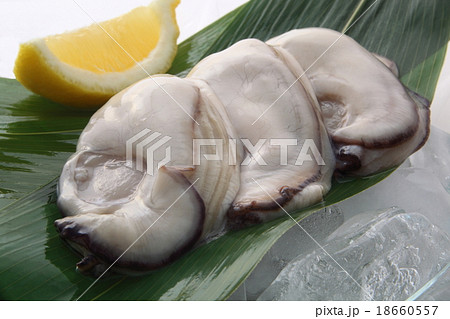 牡蠣　生牡蠣 18660557