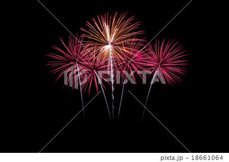 Colorful fireworks over dark sky Colorful fireworks over dark sky 18661064