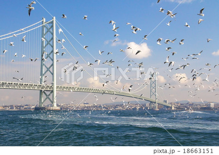 明石大橋 18663151