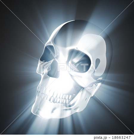 metal skull on gray background metal skull on gray background 18663247