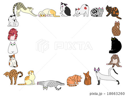 猫　枠 18663260
