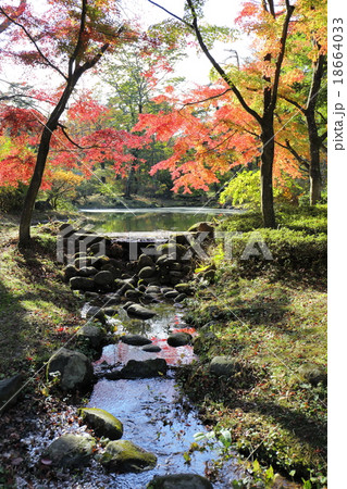 感傷的なアリア～ばったら池の秋 18664033