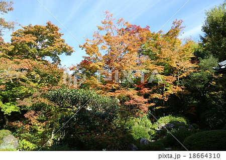 秋の源光庵（鷹峯）　京都 18664310