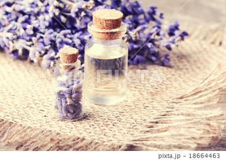 bunch of lavander bunch of lavander 18664463