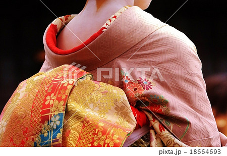 舞妓さん後ろ姿 18664693