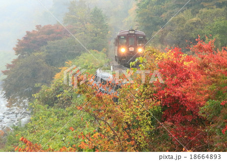 わたらせ渓谷鉄道「霧雨降る山間部の紅葉風景を走る列車」 18664893