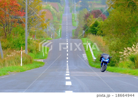 ジェットコースターの路 (7) ジェットコースターの路 (7) 18664944
