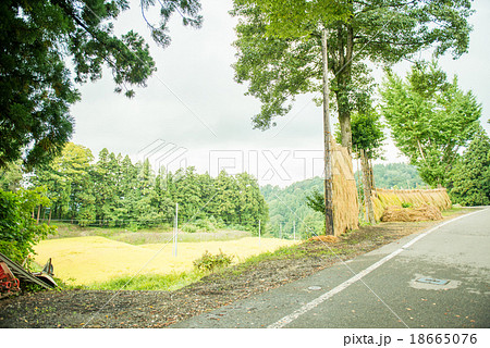 棚田の風景 棚田の風景 18665076