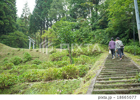田舎の参道 田舎の参道 18665077