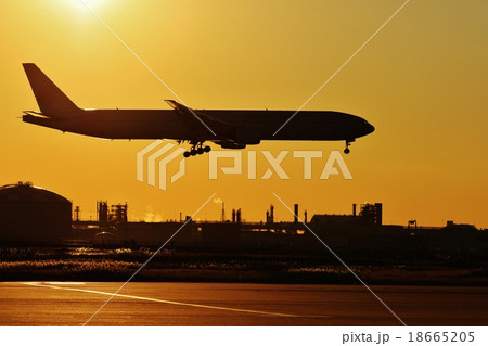 夕暮れの低空飛行 18665205