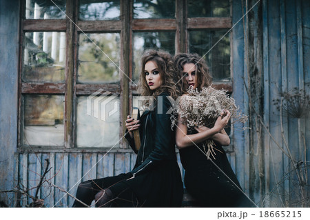 Two vintage witches gathered eve of Halloween 18665215