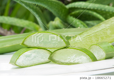 Cut pieces of aloe vera on a white plate. 18665271