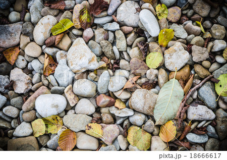 Sea stones and fallen leaves in autumn, close-up Sea stones and fallen leaves in autumn, close-up 18666617