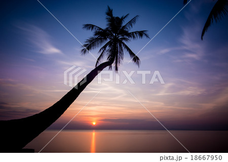 sunset sunset 18667950