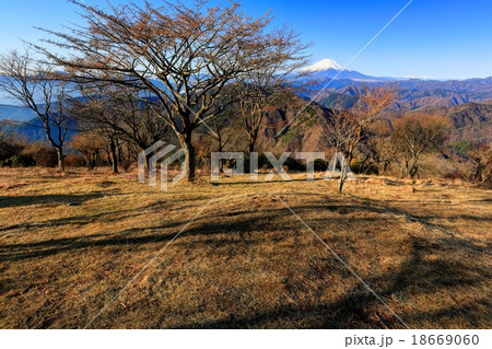 丹沢・鍋割山山頂の風景 18669060