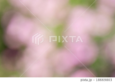 Abstract bokeh and blurred colorful nature backgro 18669803