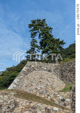 巻石垣（鳥取城） 18670476