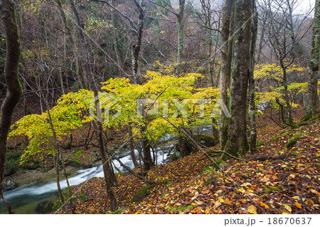 音水渓谷 音水渓谷 18670637